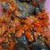 Cooksnap dari mernih untuk resep Dendeng Kering khas Padang by @olinyolina