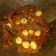 Cooksnap dari Wahyu Nirma untuk resep Sambal tanak,telur puyuh,teri dan petai