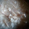 趙蓓蒂 的 筍子排骨粥 cooksnap
