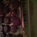 El cooksnap de Mikaela Rivero cuando hizo Alfajores de roklets.
