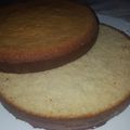 El cooksnap de Andy *Creación Y Delicias*🍴🍝🍷//🍮🥧🥄 cuando hizo Bizcochuelo Pastelero *PERFECTO*.