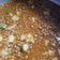 El cooksnap de Jesus Hernandez cuando hizo Lentejas con chipotle.