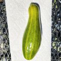 ⚡Welderwoman⚡'s cooksnap of when they made Oven Steamed Summer Squash.