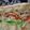 Nikeisha_Marie's cooksnap of when they made Chicken Philly.