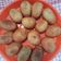 Cooksnap dari Natalie Aprillia untuk resep Roti Gendang / Luti Gendang Tarempa