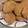 El cooksnap de Sophie Sartre cuando hizo Galletas de avena y zanahoria.