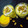 KASHISH'S KITCHEN's cooksnap of when they made Grapes & Mango Smoothie.