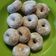 Cooksnap dari Ratieh Lianna Sari untuk resep Donat lembut metode water roux