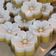 Cooksnap dari Linda untuk resep Kue Talam Labu Kuning