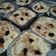 Cooksnap dari Citra Hadi untuk resep Klappertart Legit Simple