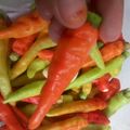 Cooksnap dari Nuraini Safitri untuk resep Tips Menyimpan Cabe Agar Tahan Lama
