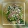 Cooksnap dari Winda untuk resep Cantonese fried bihun kwetiau