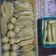 Cooksnap dari Regina Rini untuk resep Pempek Dos