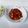 Cooksnap dari Annisa sr untuk resep 78. Gongso Ati Ampela