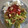 El cooksnap de Laura Ligero Baldomero cuando hizo Ensalada de queso de Burgos de Arias con aguacate y tomate.