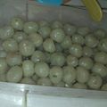 Cooksnap dari Retno Nova Triani untuk resep Cilok bumbu kacang