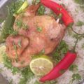 dailycooking's cooksnap of when they made Special Roast Chicken.