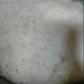 Adeya's cooksnap of when they made Boiled Rice.