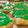 El cooksnap de Eladio Sanabria cuando hizo Galletas Speculoos navideñas.