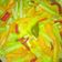 Cooksnap dari Isti Nurrohmah Masduki untuk resep Acar Kuning