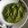 Ahasena Khondekar - Dalia's cooksnap of when they made ধনেপাতার আর পুদিনা পাতা চাটনি(dhanepatar pudina patar chutney recipe in bengali).