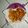 Cooksnap dari kikidita untuk resep Chicken Egg Roll