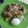 Cooksnap dari Frintia Sadli Hairil untuk resep Urap - Urap Sayur
