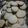 El cooksnap de siebigsalejandra cuando hizo Galletitas de vainilla y azúcar.