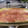 El cooksnap de Jordi Cortiada cuando hizo Pastel de patata y calabacín con levadura de cerveza.