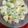 Cooksnap dari bingah Pertiwi Putri untuk resep Salad buah