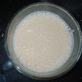 Anam Mohsin's cooksnap of when they made Karak chai.