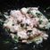 El cooksnap de irene2015 cuando hizo Cocochas de bacalao al pil pil con gulas y almejas.
