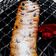 Cooksnap dari Lia Amelia untuk resep Strudel apel