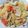 Cooksnap dari septiana perwitasari untuk resep Lemon Garlic Shrimp Spaghetti