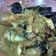 Cooksnap dari lusianakuraisin untuk resep Ikan patin bumbu kuning