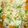 Kemmy Onchangu's cooksnap of when they made White rice with green peas and carrot gravy.