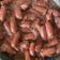El cooksnap de Ana Pernas cuando hizo Salchichas frescas al vino tinto.