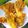 Cooksnap dari Noe untuk resep Pisang Goreng Wijen Praktis