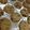 Gracious Kitchen's cooksnap of when they made Chewy chocolate chip Cookies.
