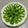 El cooksnap de Micaela Borquez cuando hizo Tarta de kiwi.