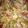 Vrunda Shende's cooksnap of when they made No Yeast Instant Pizza.