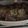 El cooksnap de Cisca cuando hizo Rollitos de berenjena rellenos de espinacas.