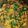 Umme Ahmad's cooksnap of when they made Aloo anday (potato eggs).