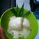 Cooksnap dari Arum Pusparini untuk resep Singkong thailand mak nyusss