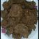 Cooksnap dari Eni Nurul khatijah untuk resep Rendang daging