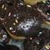 Cooksnap dari Muritiyas untuk resep Mini Donuts with Glassing Chocolate
