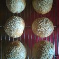 Bill's cooksnap of when they made Hamburger buns.