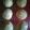 Bill's cooksnap of when they made Hamburger buns.