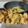 Cooksnap dari Didi Kaafhaya untuk resep Pisang Goreng Wijen