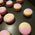Yi-xuan LU 的 繽紛法式馬卡龍 cooksnap